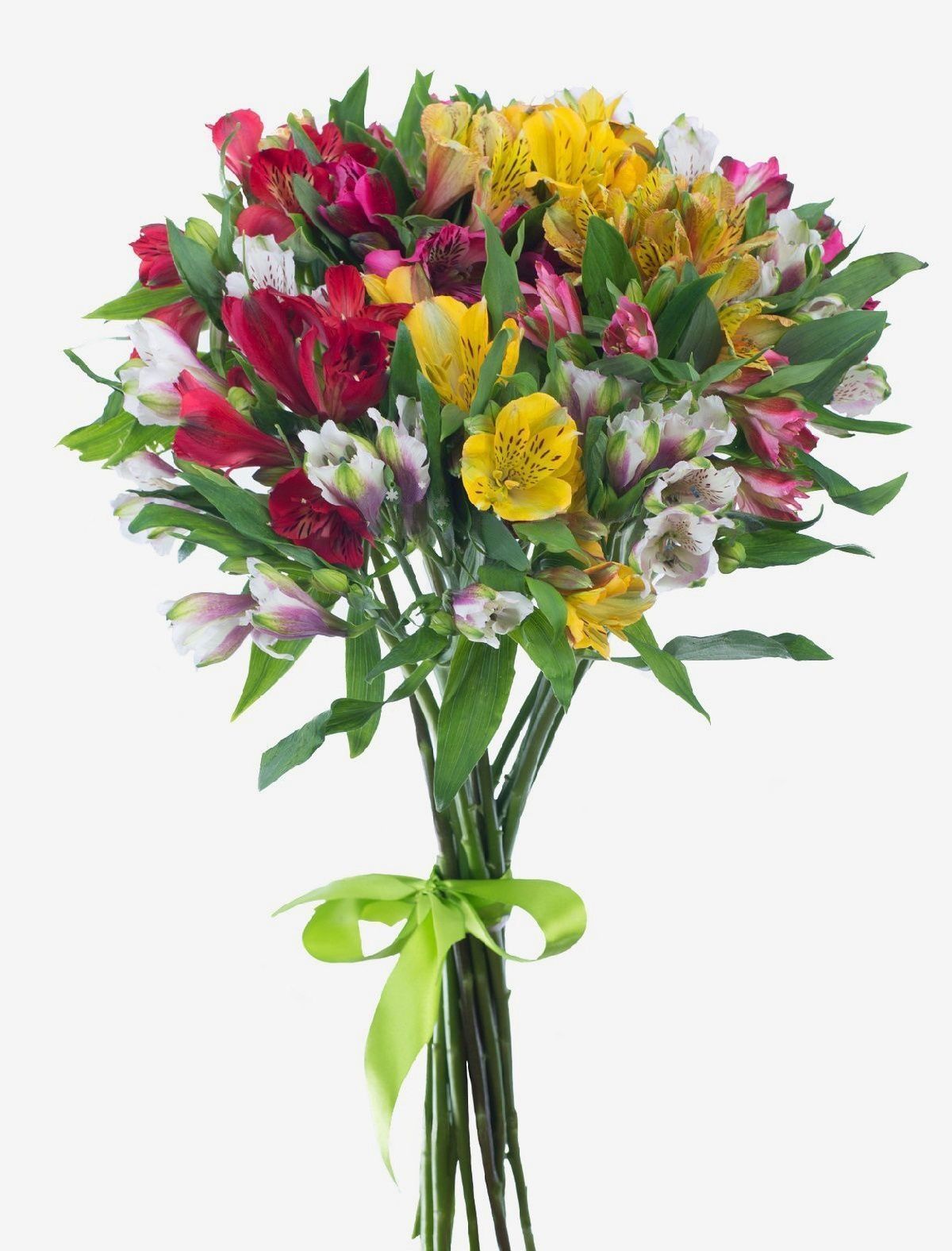 Get Well Soon Flowers My Express Flowers