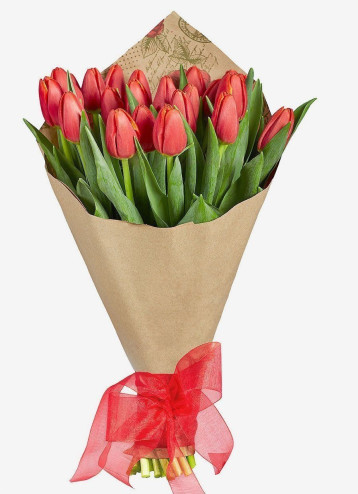 25 Red Tulips