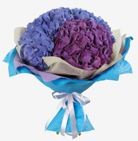 Best Hydrangea Bouquet Image