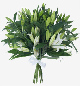 Bouquet of 17 Lilies Image