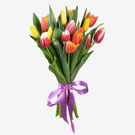 Bouquet of 15 Tulips