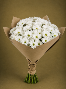 17 White Сhrysanthemums